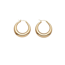 Load image into Gallery viewer, Esmeralda Hoop Earrings